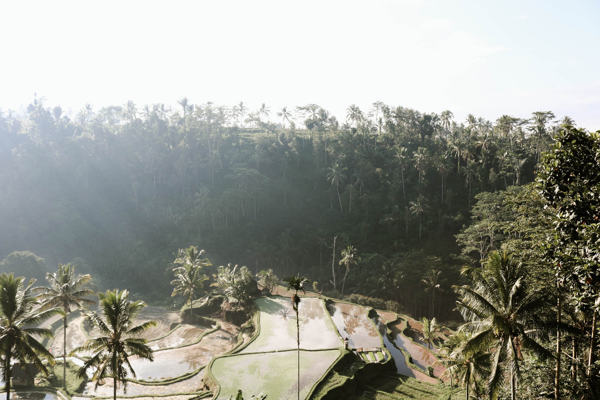 Nestled in the cliffside of a small rural village about 30 minutes north of Ubud, Bali is this magical, jungle oasis: Suarapura Resort. Click to see our full review and must-see Bali adventures! 