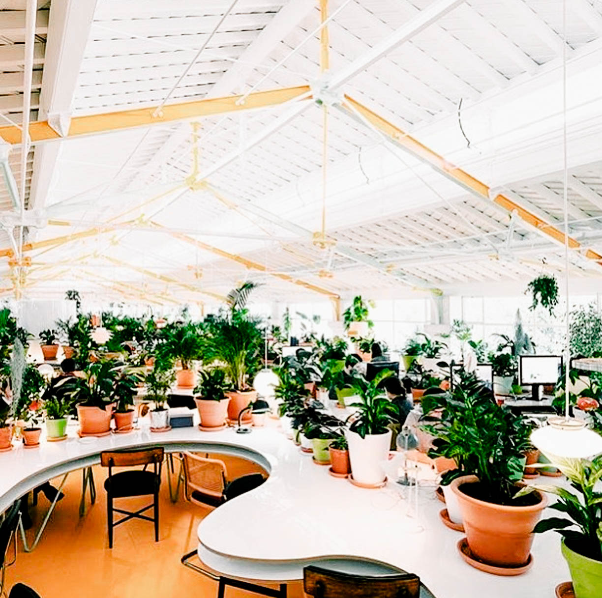 One of the best things about being a digital nomad in Lisbon? The insane amount of gorg coffee shops and seriously swoon-worthy coworking spaces to work from! Here’s our list of the top places to crush your girl boss goals in Lisbon!
