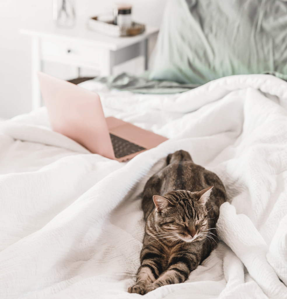 Find it difficult to truly relax after a long day of work? Today on the blog, we’re sharing 6 surprising ways to unwind and decompress...
